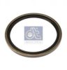 DT 4.20513 Shaft Seal, differential